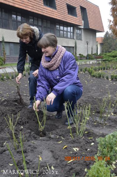 Sanktuarium Markowice - Rosarium wzbogacone o nowy gatunek krzewów